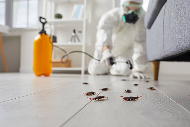 Trusted Fumigation Services service in Marlboro Village, MD - Nex Pest Control
