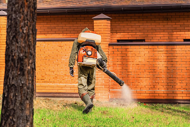 Trusted Rodent Control service in Marlboro Village, MD - Nex Pest Control